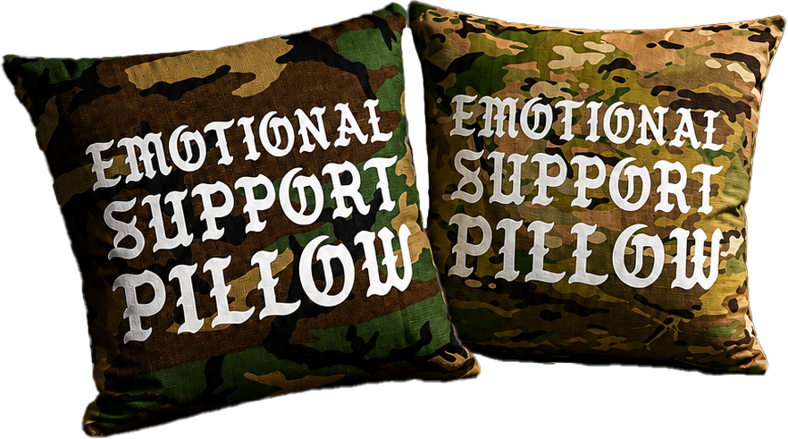 Emotional Support Pillow